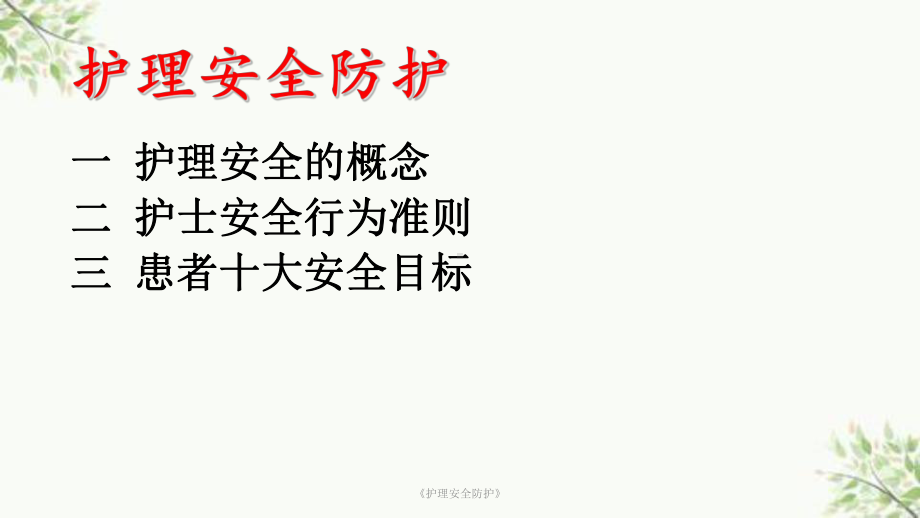 《护理安全防护》课件.ppt_第2页