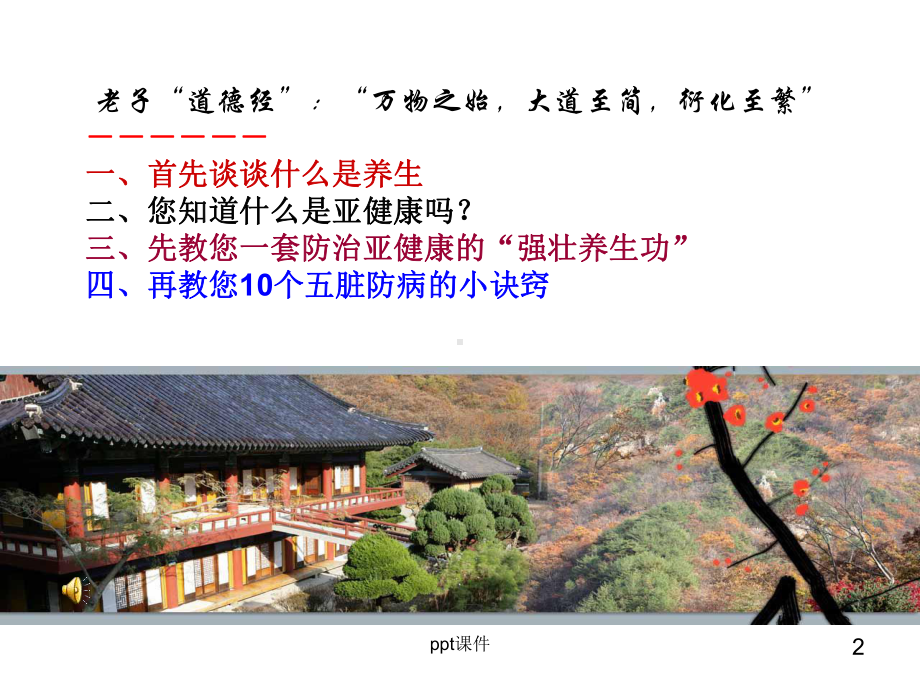 中医讲座-课件.ppt_第2页