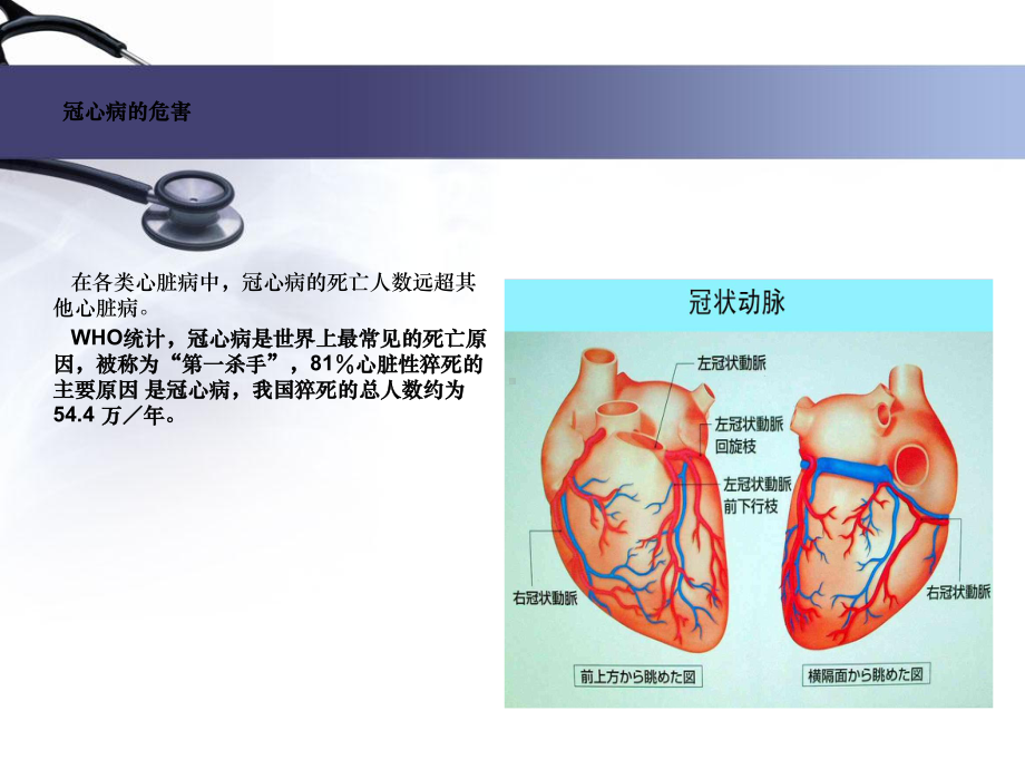 中医中药防治冠心病1课件.ppt_第2页