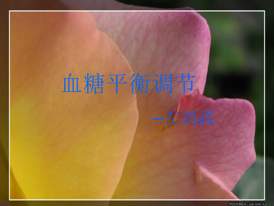 血糖平衡调节课件.ppt_第1页