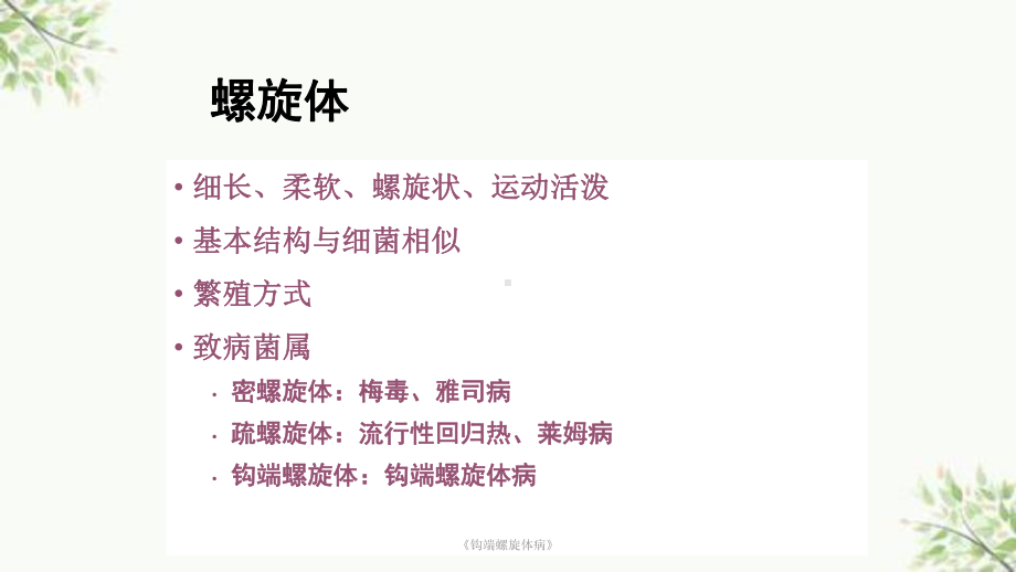 《钩端螺旋体病》课件.ppt_第2页