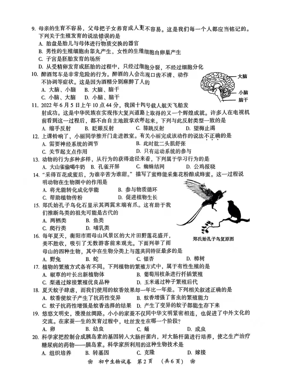 2022年湖南省衡阳市中考生物真题.pdf_第2页