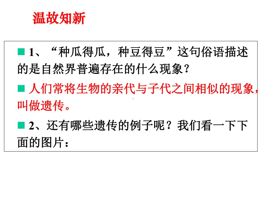 苏教版八年级生物下册第22章第一节-DNA是主要的遗传物质-课件-(27张).ppt_第3页