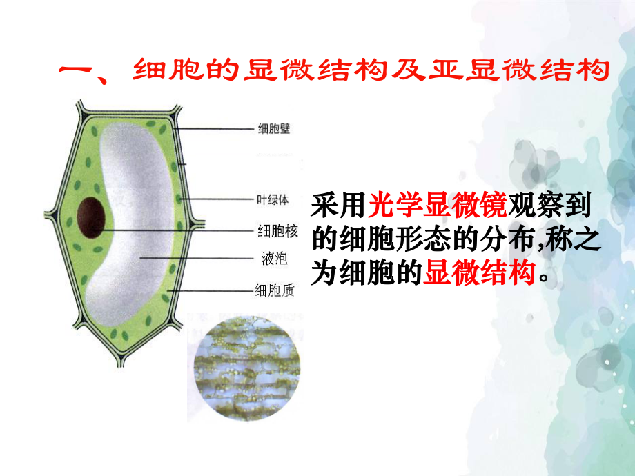 《细胞器之间的分工合作》-人教版1课件.ppt_第3页