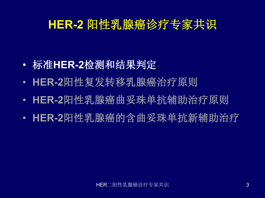 HER二阳性乳腺癌诊疗专家共识培训课件.ppt_第3页