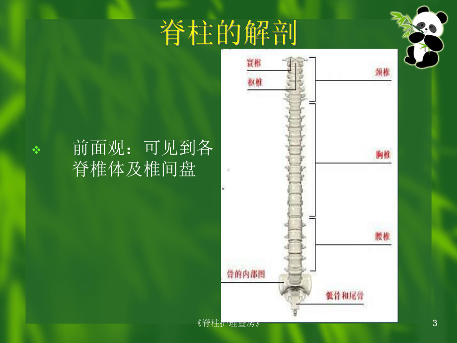 《脊柱护理查房》课件.ppt_第3页