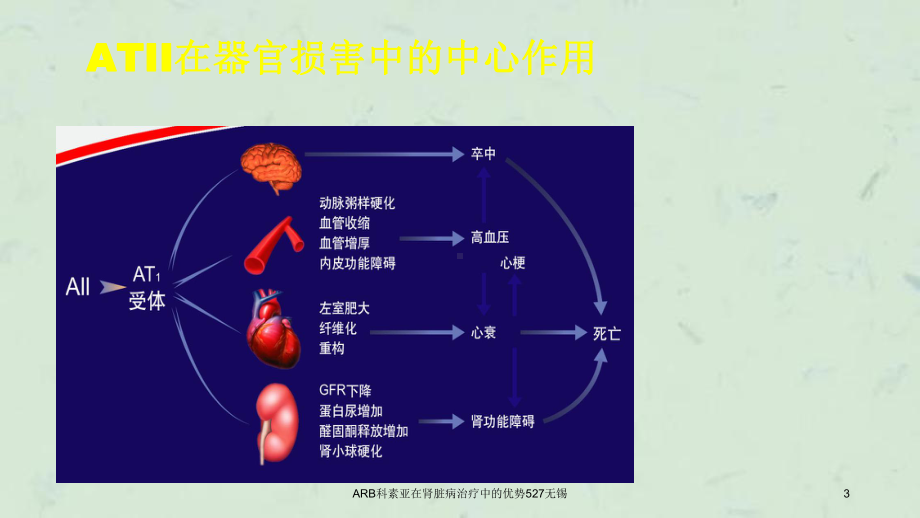 ARB科素亚在肾脏病治疗中的优势527无锡课件.ppt_第3页