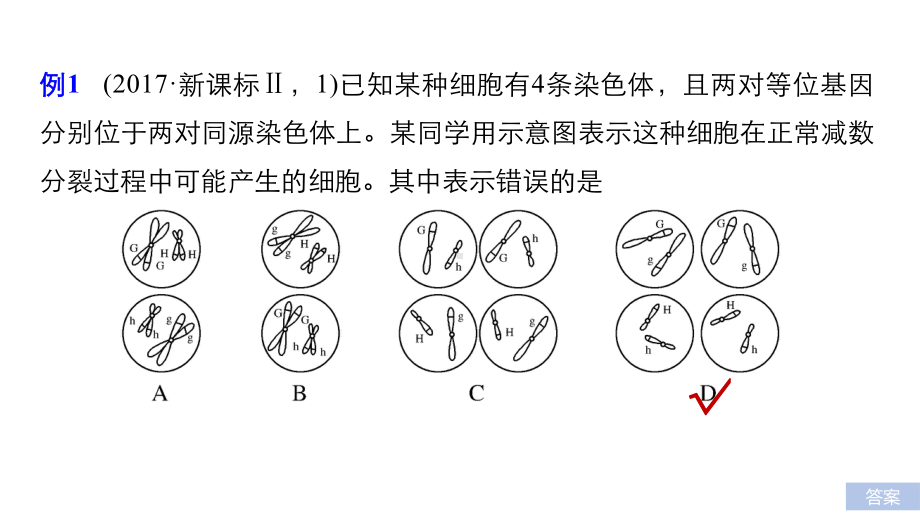 高考生物热点题型《透过细胞分裂图像解决减数分裂与可遗传变异的关系》课件(共22张).pptx_第2页