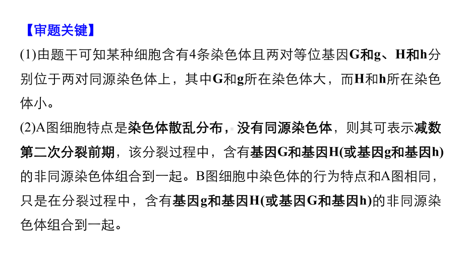 高考生物热点题型《透过细胞分裂图像解决减数分裂与可遗传变异的关系》课件(共22张).pptx_第3页