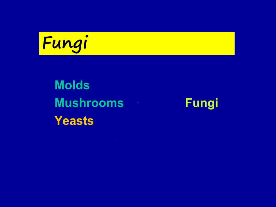 临床微生物真菌学-英文课件.ppt_第2页