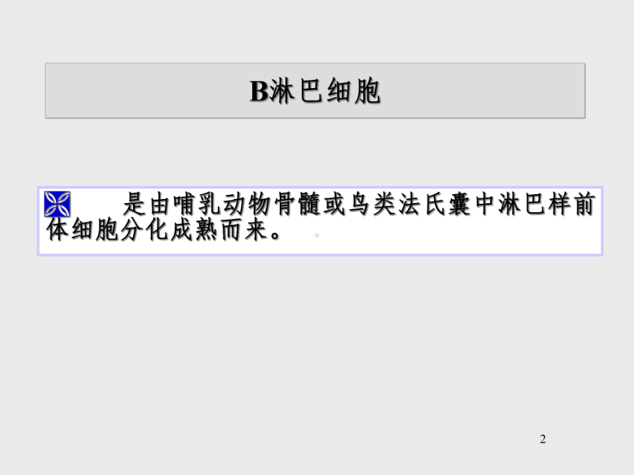 B淋巴细胞与特异性体液免疫课件.ppt_第2页