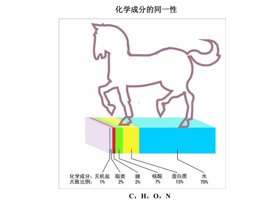 中农动物医学本科生物化学生命的化学特征课件.ppt_第2页