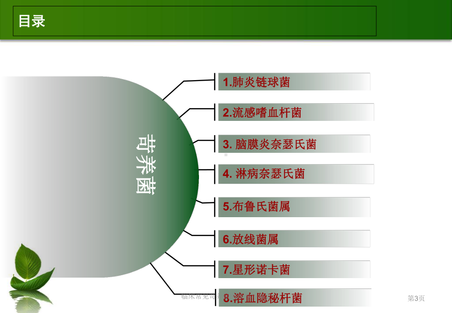 临床常见苛养菌的培养与鉴定培训课件.ppt_第3页