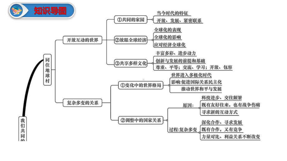 部编人教版九年级下册道德与法治期末复习课件.pptx_第3页