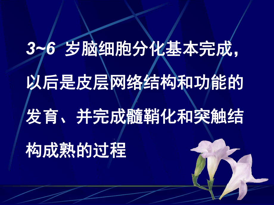 3-6岁儿童营养与饮食行为培育课件.ppt_第3页