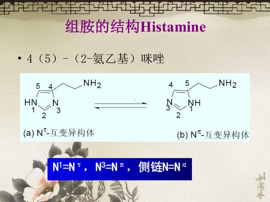 11组胺受体拮抗剂及抗过敏药和抗溃疡药汇总课件.ppt_第3页