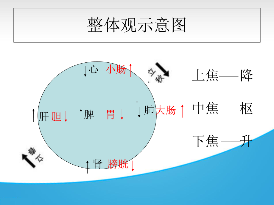 中医整体观念在肛肠病中的应用概要课件.ppt_第3页