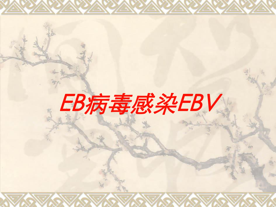 EB病毒感染EBV培训课件.ppt_第1页