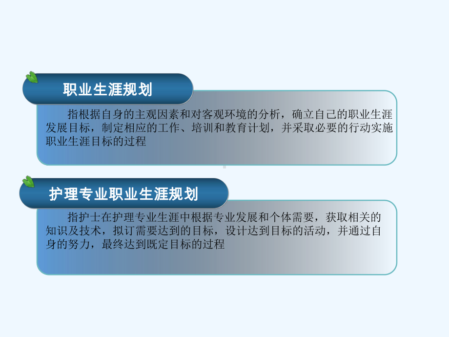 临床护士职业生涯规划课件.ppt_第2页