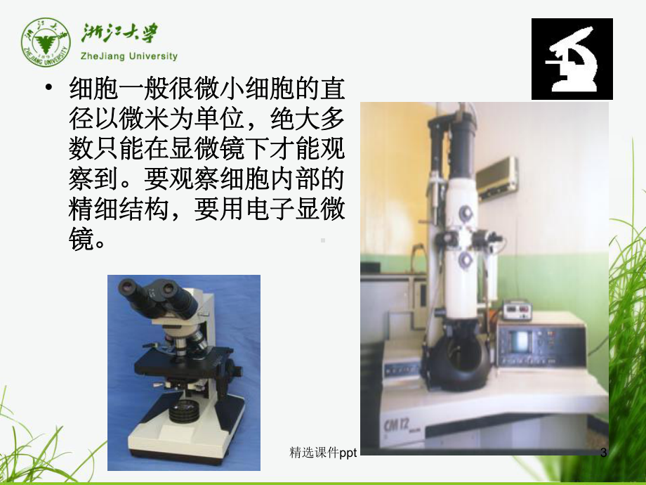 《细胞结构全》课件.ppt_第3页