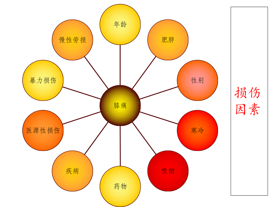 膝关节疼痛的诊断与治疗课件.ppt_第3页