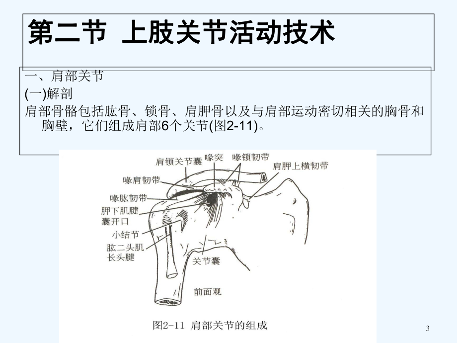 《运动治疗技术》第二章-关节活动技术课件.ppt_第3页