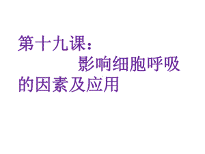 细胞呼吸的影响因素及应用课件.ppt