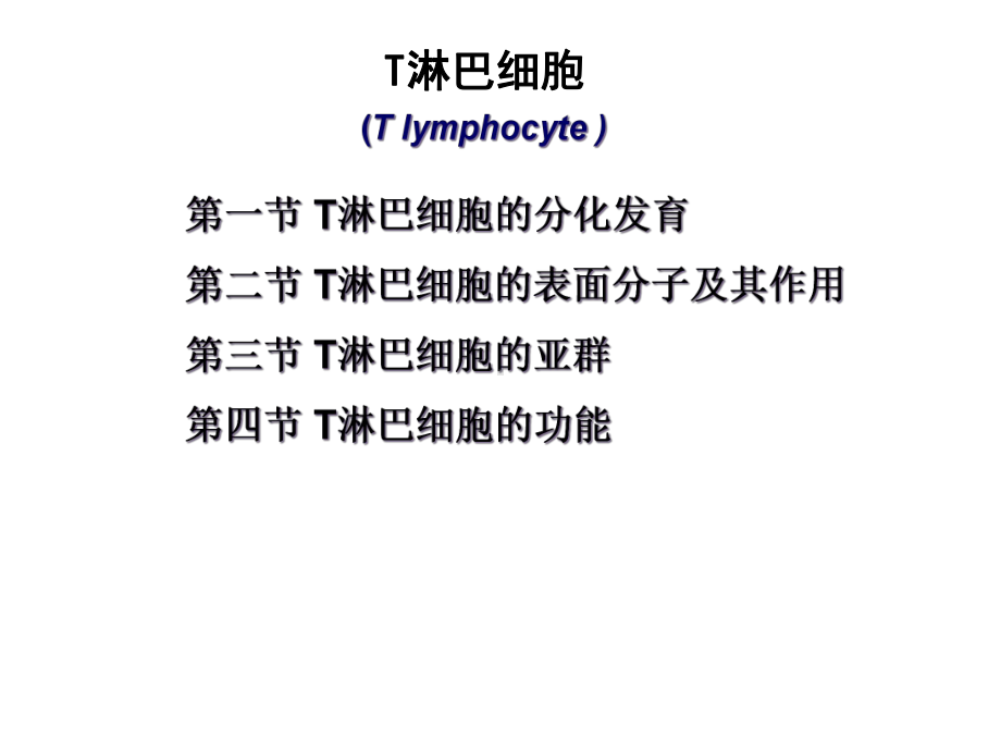 T淋巴细胞医学宣教课件.ppt_第1页