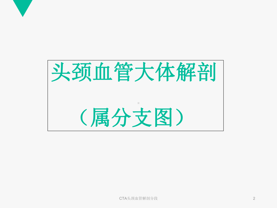 CTA头颈血管解剖分段培训课件.ppt_第2页