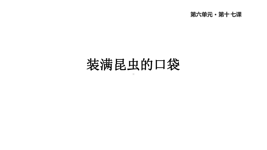 西师大版二年级语文下册17《装满昆虫的口袋》课件.ppt_第1页