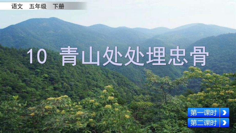 部编版五年级语文下册课件10-青山处处埋忠骨.pptx_第3页