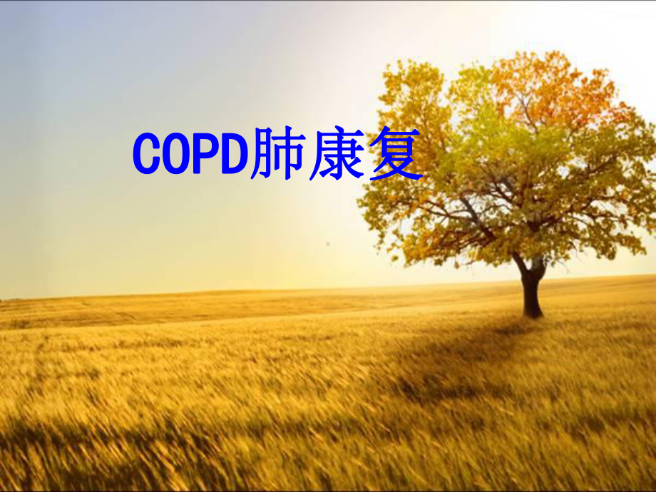 COPD肺康复培训课件-2.ppt_第1页