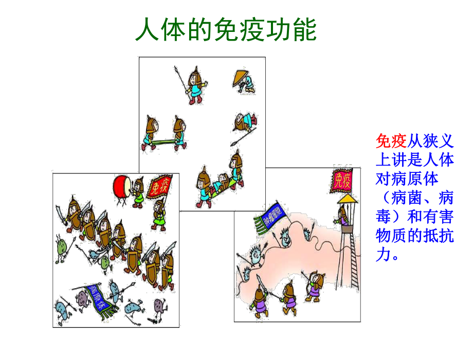 苏教版八年级下册生物第十单元第二十五章第三节-免疫-课件(共21张).ppt_第2页