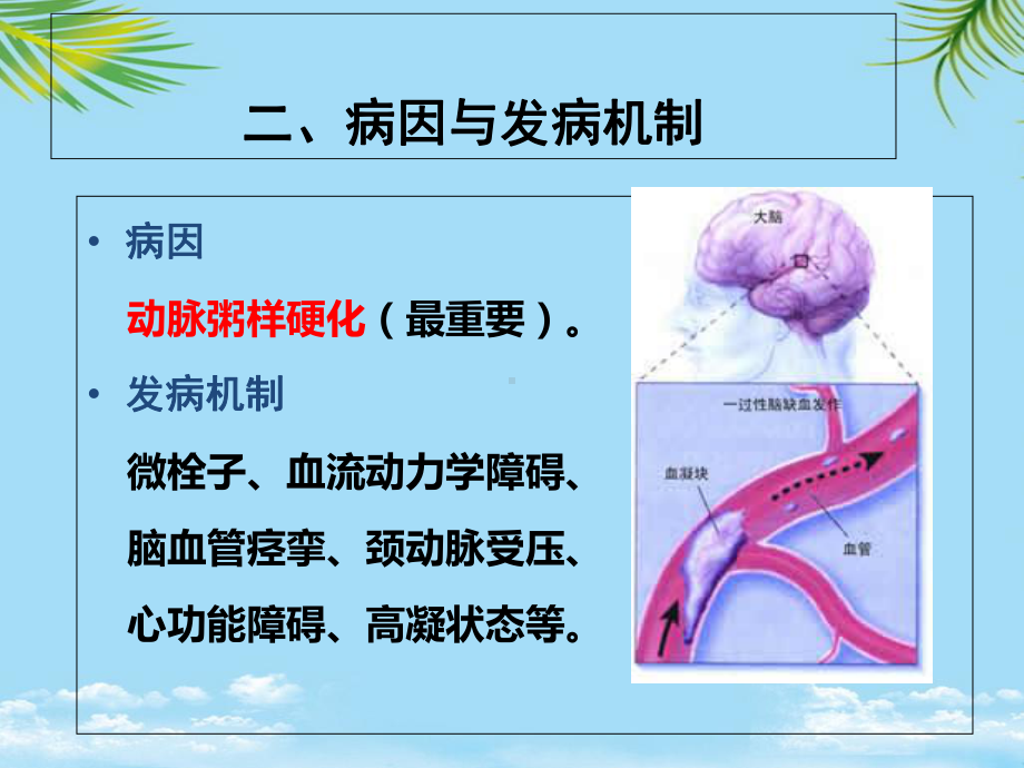 TIA患者的护理课件.ppt_第3页