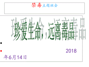 禁毒主题班会(共60张)课件.ppt