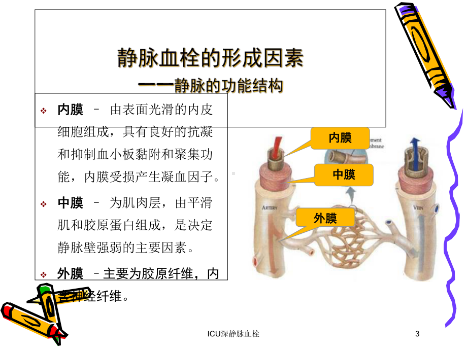 ICU深静脉血栓培训课件.ppt_第3页