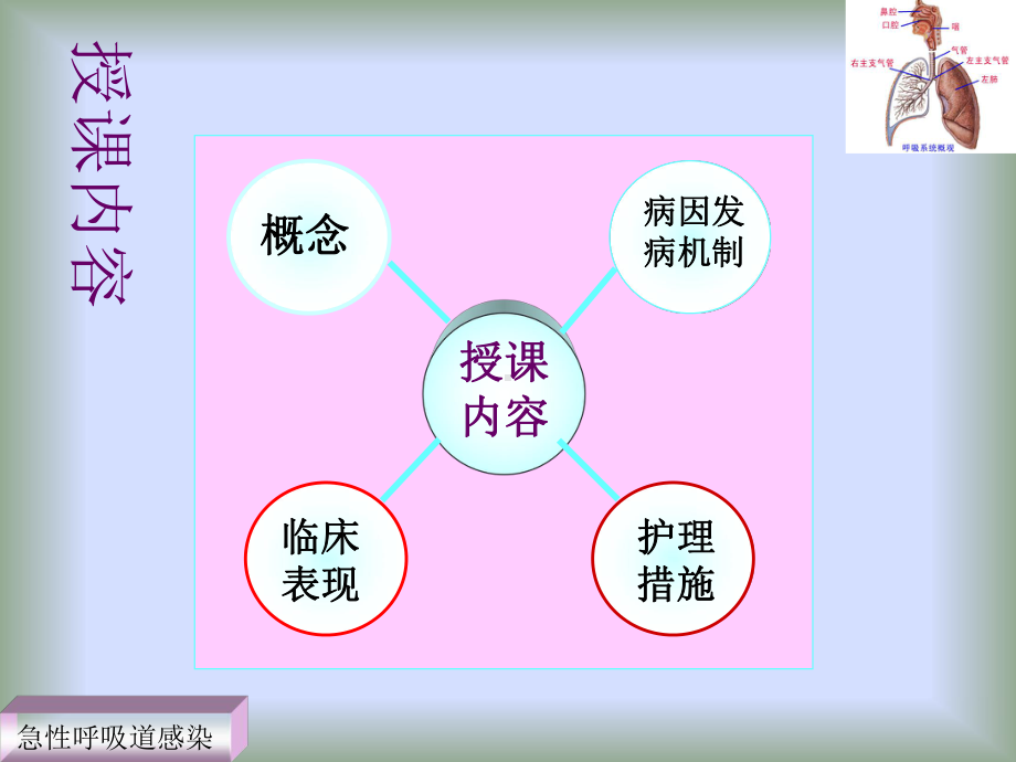 一节护理急性呼吸道感染病人课件.pptx_第2页