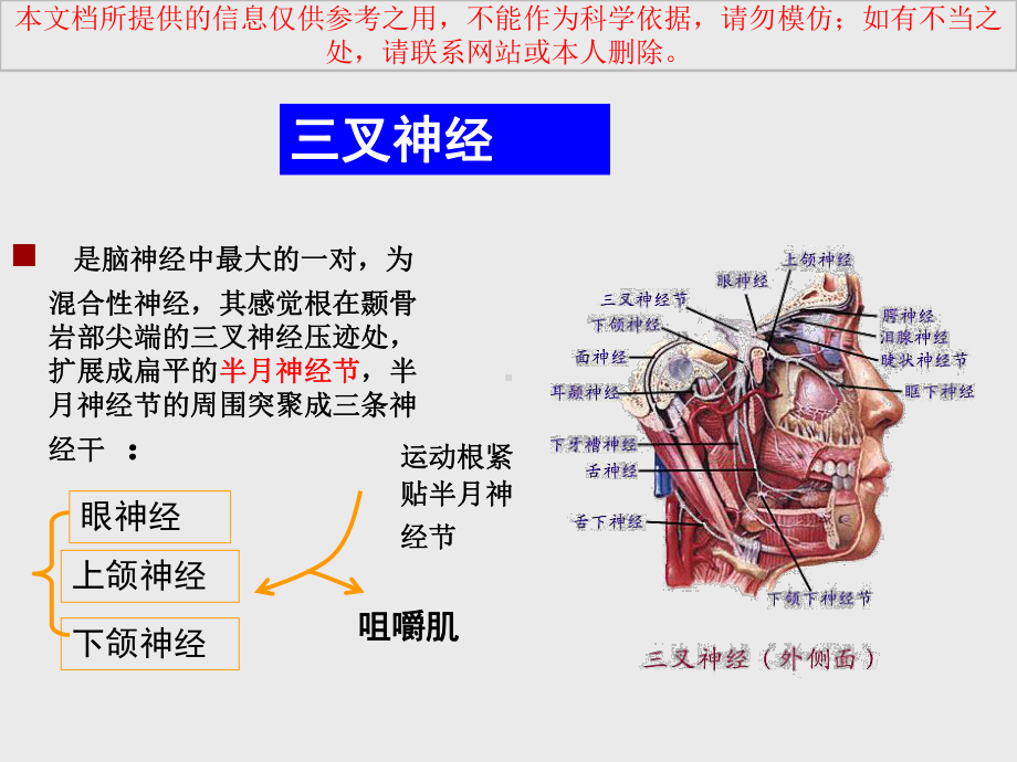 三叉神经和面神经分解培训课件.ppt_第3页