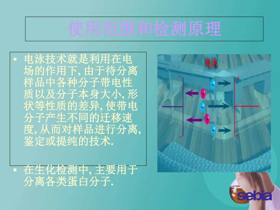 Sebia全自动凝胶电泳仪临床应用课件.ppt_第2页