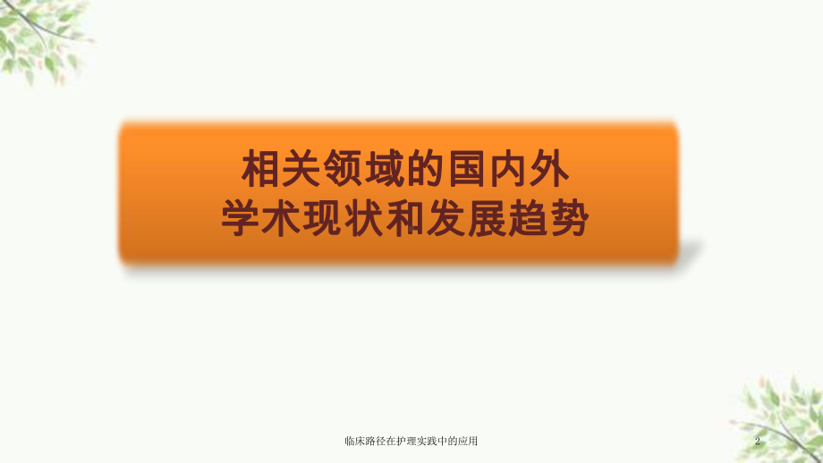 临床路径在护理实践中的应用课件.ppt_第2页