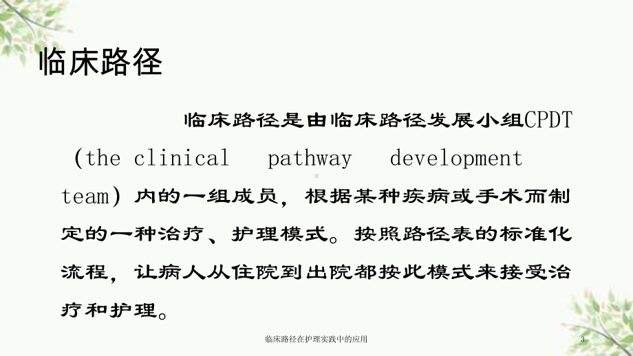 临床路径在护理实践中的应用课件.ppt_第3页