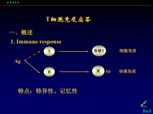 T细胞免疫应答医学免疫学3课件.ppt