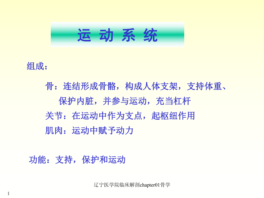 临床解剖chapter01骨学课件.ppt_第1页