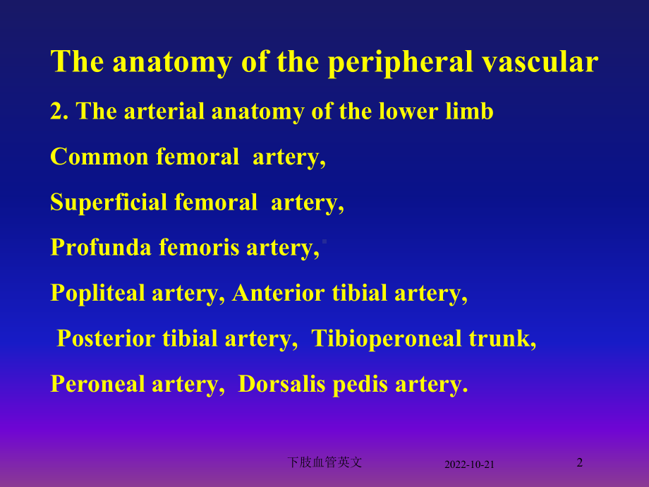 下肢血管英文培训课件.ppt_第2页