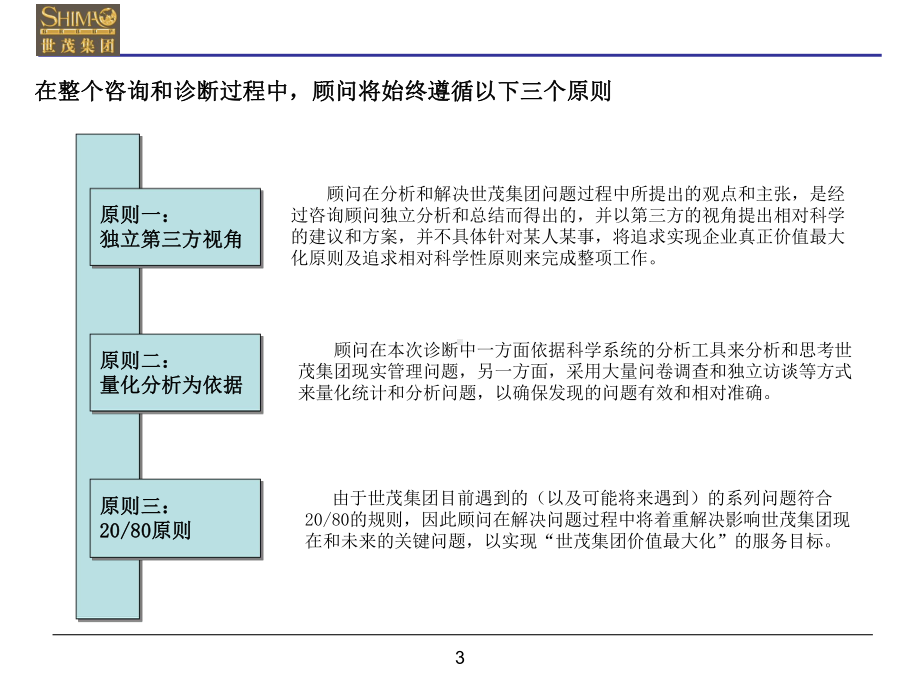 世茂集团管理咨询诊断报告课件.ppt_第3页