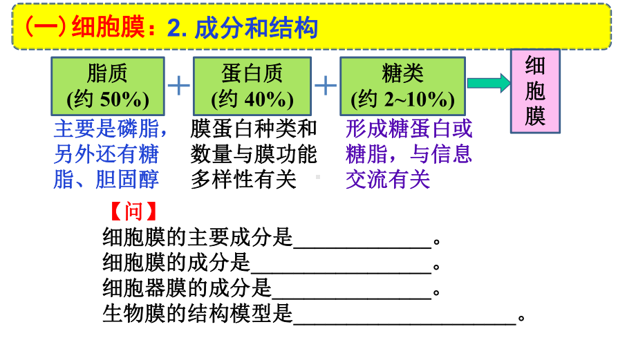 高中生物精品资源高三生物一轮复习细胞膜和细胞核课件.ppt_第3页