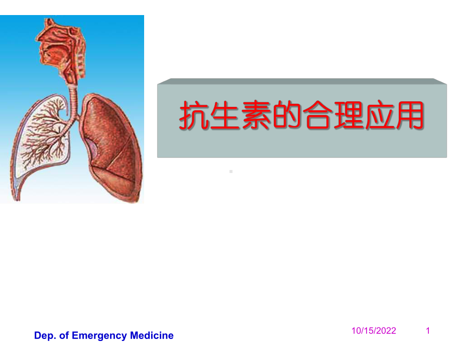 （临床医学）抗生素的合理应用课件.ppt_第1页