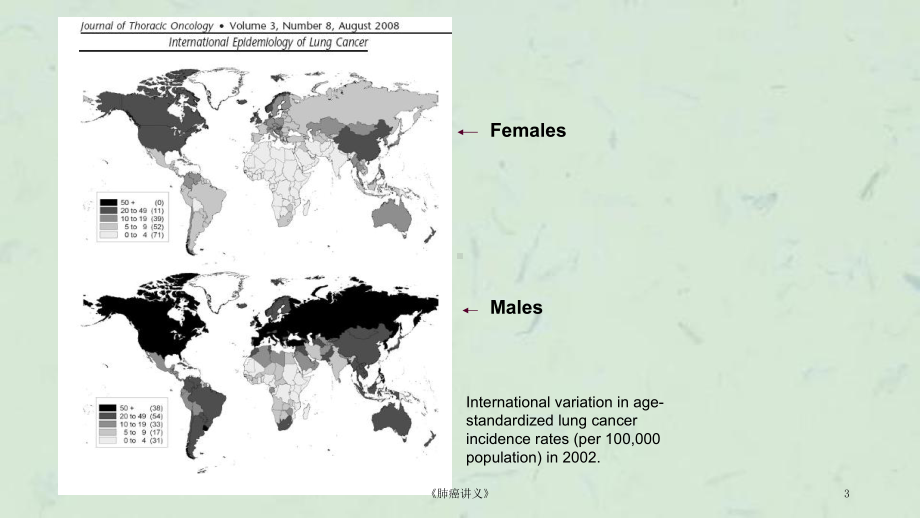 《肺癌讲义》课件.ppt_第3页