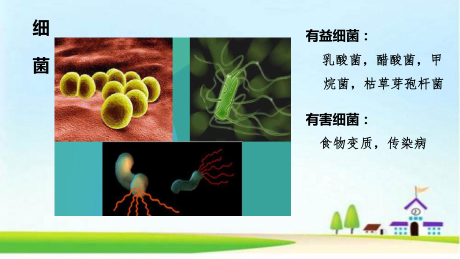 第六届全国青年科普创新实验暨作品大赛-微生物的艺术课件.pptx_第3页