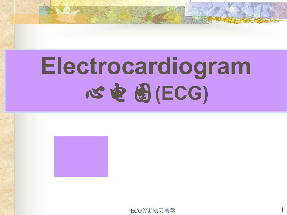 ECG诊断实习教学课件.ppt_第1页